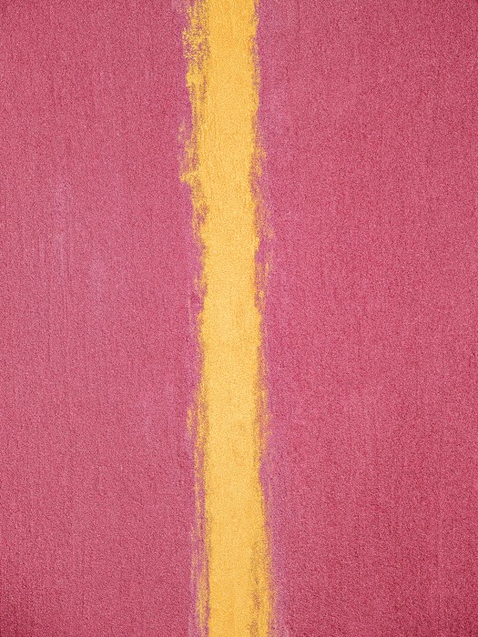 rose 580